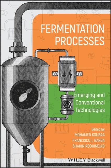 Shahin Roohinejad, Francisco J. Barba, Mohamed Koubaa - Fermentation Processes: Emerging and Conventional Technologies, E-bok