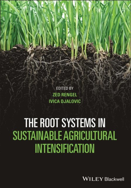 Ivica Djalovic, Zed Rengel - Root Systems in Sustainable Agricultural Intensification, E-bok