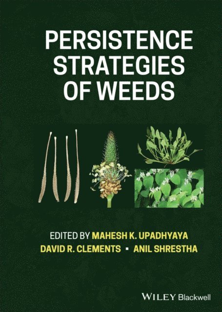 Anil Shrestha, David R. Clements, Mahesh K. Upadhyaya - Persistence Strategies of Weeds, E-bok. Tillgänglighet: Lägg i varukorg