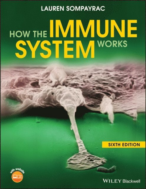 Lauren M. Sompayrac - How the Immune System Works, E-bok