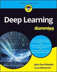 Deep Learning For Dummies