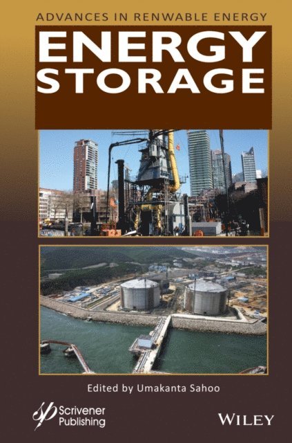Umakanta Sahoo - Energy Storage, E-bok