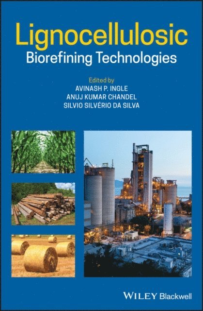 Silvio Silverio da Silva, Anuj Kumar Chandel, Avinash P. Ingle - Lignocellulosic Biorefining Technologies, E-bok