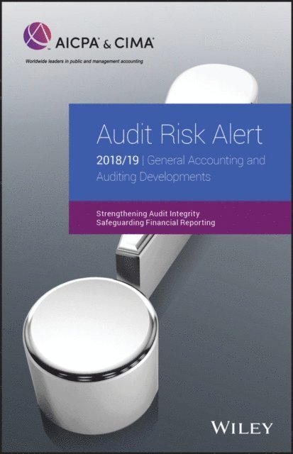 AICPA - Audit Risk Alert: General Accounting and Auditing Developments 2018/19, E-bok