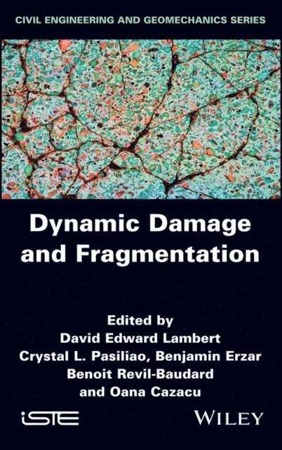 Oana Cazacu, Benoit Revil-Baudard, Benjamin Erzar, Crystal L. Pasiliao, David Edward Lambert - Dynamic Damage and Fragmentation, E-bok