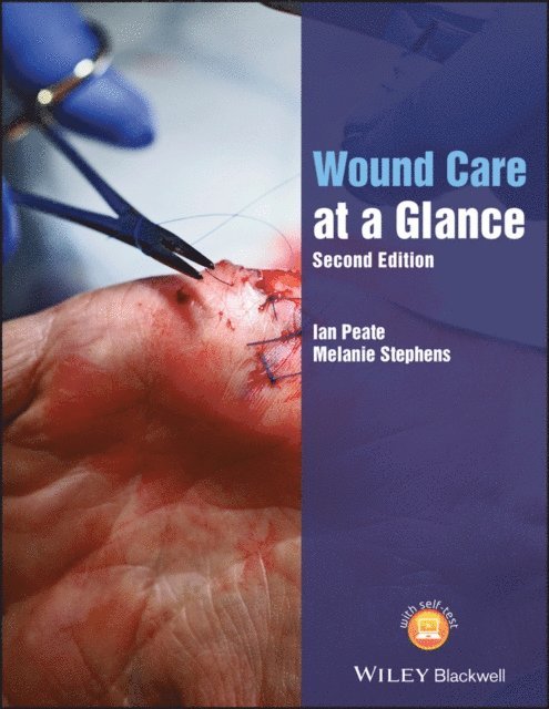 Melanie Stephens, Ian Peate - Wound Care at a Glance, E-bok