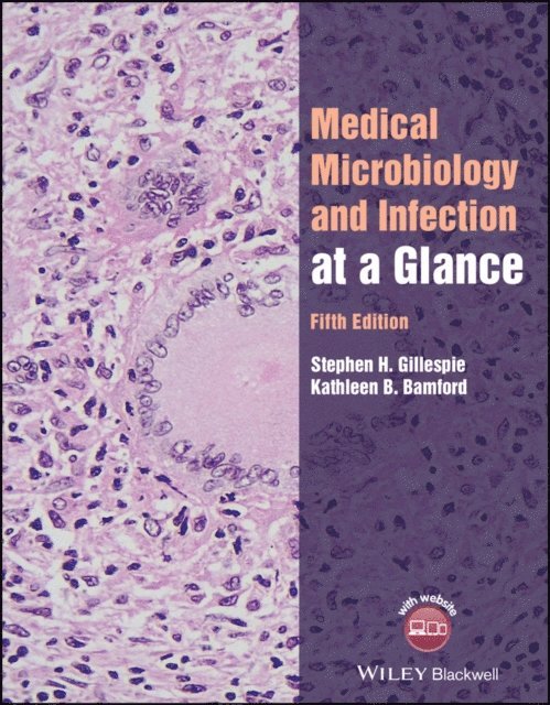 Kathleen B. Bamford, Stephen H. Gillespie - Medical Microbiology and Infection at a Glance, E-bok