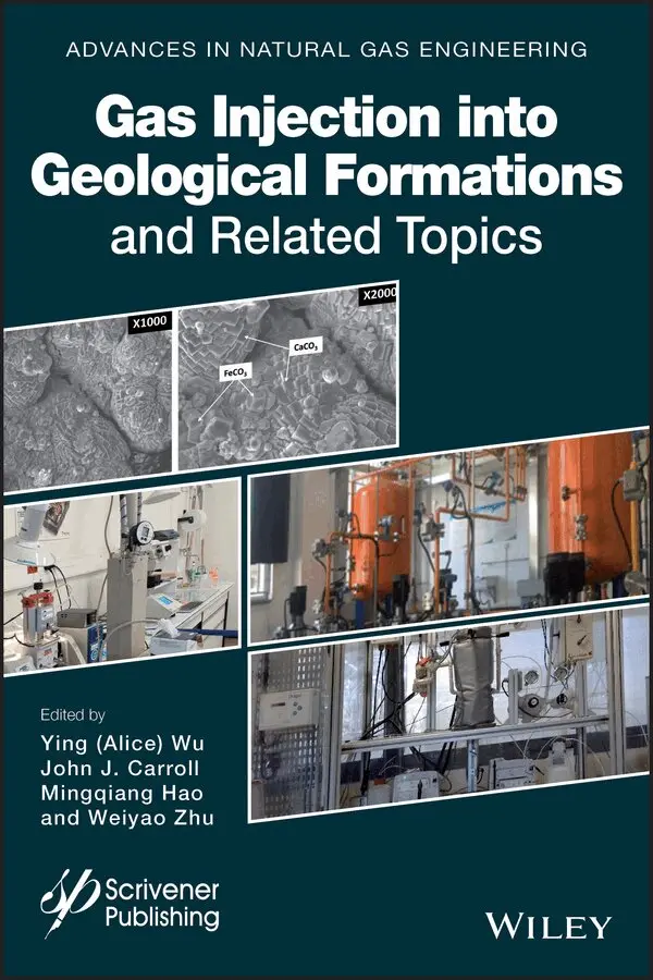 Alice Wu, John J. Carroll, Mingqiang Hao, Weiyao Zhu - Gas Injection into Geological Formations and Related Topics. Tillgänglighet: Tillfälligt slut