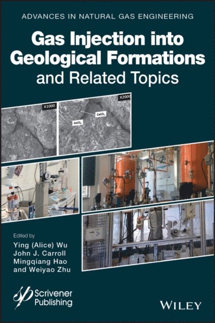 Weiyao Zhu, Mingqiang Hao, John J. Carroll, Alice Wu - Gas Injection into Geological Formations and Related Topics, E-bok