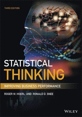 Roger W. Hoerl, Ronald D. Snee - Statistical Thinking, Inbunden
