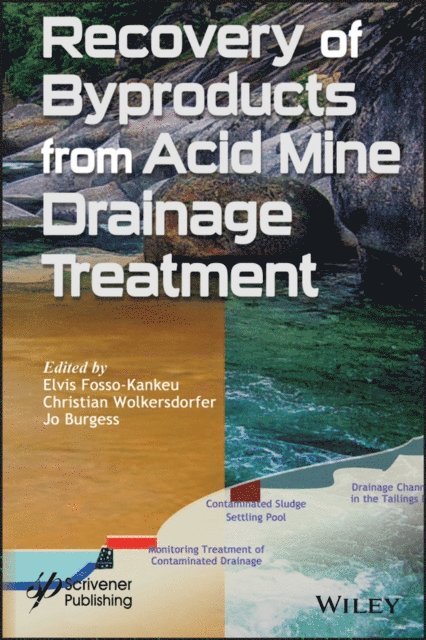 Jo Burgess, Christian Wolkersdorfer, Elvis Fosso-Kankeu - Recovery of Byproducts from Acid Mine Drainage Treatment, E-bok
