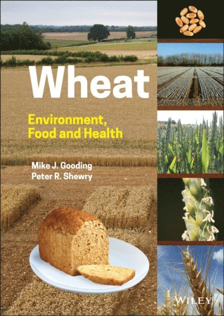 Peter R. Shewry, Mike J. Gooding - Wheat, E-bok