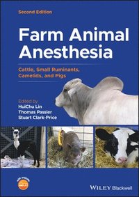 Farm Animal Anesthesia - Cattle, Small Ruminants, Camelids, and Pigs