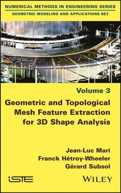 G rard Subsol, Franck H troy-Wheeler, Jean-Luc Mari - Geometric and Topological Mesh Feature Extraction for 3D Shape Analysis, E-bok