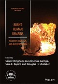 Burnt Human Remains