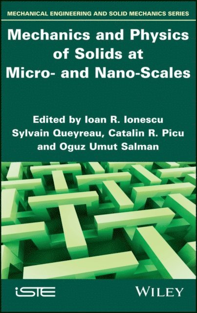 Oguz Umut Salman, Catalin R. Picu, Sylvain Queyreau, Ioan R. Ionescu - Mechanics and Physics of Solids at Micro- and Nano-Scales, E-bok