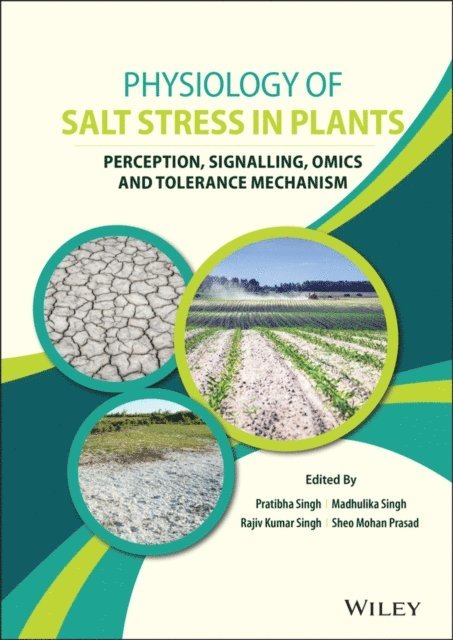 Sheo Mohan Prasad, Rajiv Kumar Singh, Madhulika Singh, Pratibha Singh - Physiology of Salt Stress in Plants, E-bok