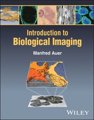 Manfred Auer - Introduction to Biological Imaging, Häftad