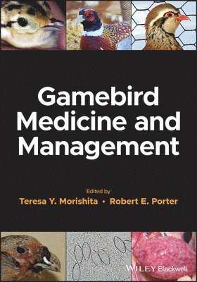 Teresa Y. Morishita, Robert E. Porter - Gamebird Medicine and Management, Häftad