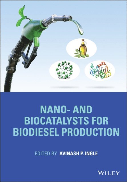 Avinash P. Ingle - Nano- and Biocatalysts for Biodiesel Production, E-bok