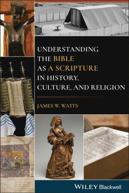 James W. Watts - Understanding the Bible as a Scripture in History, Culture, and Religion, E-bok