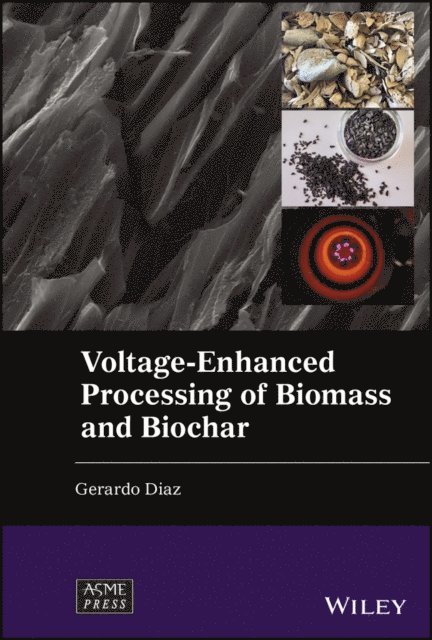Gerardo Diaz - Voltage-Enhanced Processing of Biomass and Biochar, E-bok
