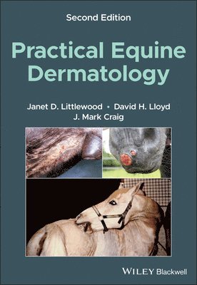Janet D. Littlewood, David H. Lloyd, J. Mark Craig - Practical Equine Dermatology, Häftad