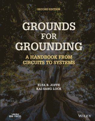 Elya B. Joffe, Kai-Sang Lock - Grounds for Grounding, Inbunden