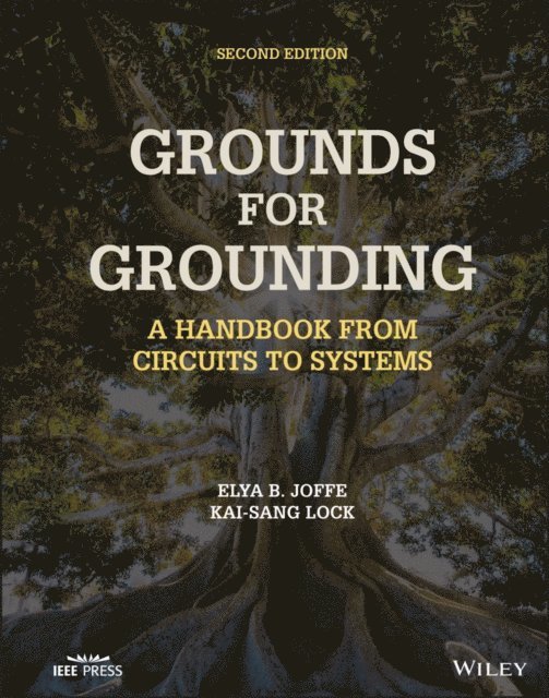 Kai-Sang Lock, Elya B. Joffe - Grounds for Grounding, E-bok