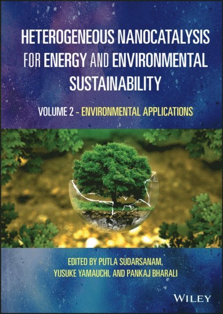 Pankaj Bharali, Yusuke Yamauchi, Putla Sudarsanam - Heterogeneous Nanocatalysis for Energy and Environmental Sustainability, Volume 2, E-bok
