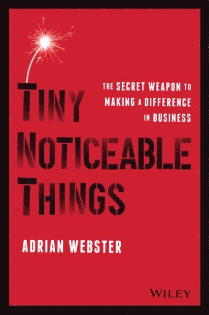 Adrian Webster - Tiny Noticeable Things, E-bok