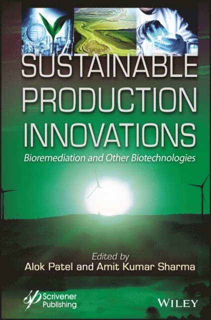 Amit Kumar Sharma, Alok Kumar Patel - Sustainable Production Innovations, E-bok