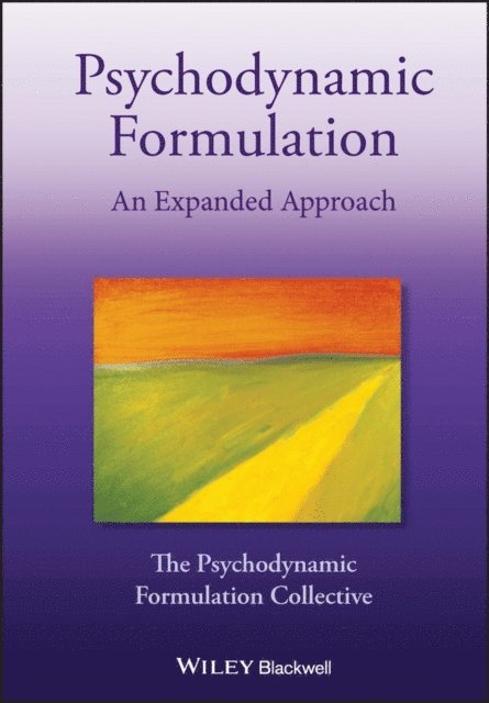 Susan C. Vaughan, Anna R. Schwartz, Aaron Reliford, Sandra Park, Ruth L. Graver, Jack Drescher, Carolyn J. Douglas, Angela Coombs, Sabrina Cherry, Deborah L. Cabaniss, Ali Shirin - Psychodynamic Formulation, E-bok