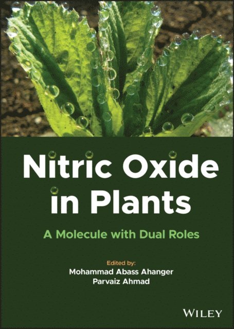Parvaiz Ahmad, Mohammad Abass Ahanger - Nitric Oxide in Plants, E-bok