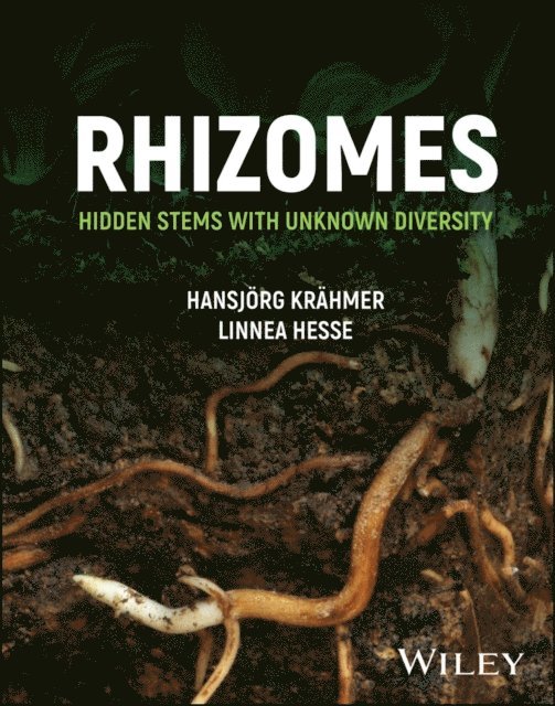 Linnea Hesse, Hansjoerg Kraehmer - Rhizomes, E-bok