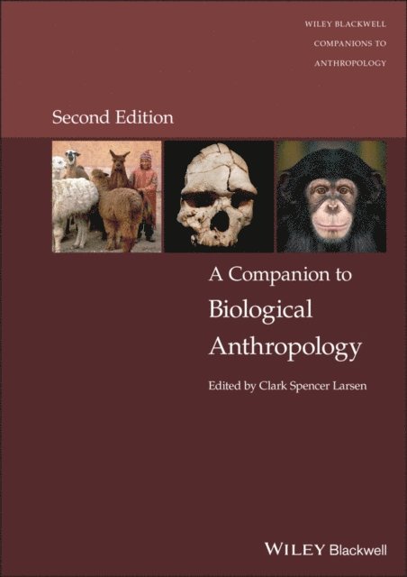 Clark Spencer Larsen - Companion to Biological Anthropology, E-bok