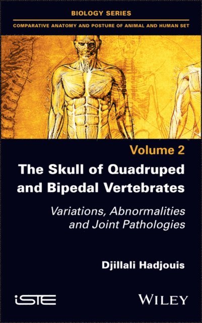 Djillali Hadjouis - Skull of Quadruped and Bipedal Vertebrates, E-bok