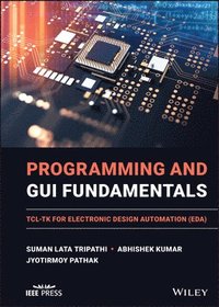 Programming and GUI Fundamentals