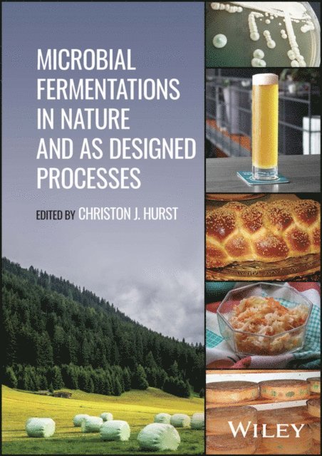 Christon J. Hurst - Microbial Fermentations in Nature and as Designed Processes, E-bok. Tillgänglighet: Lägg i varukorg