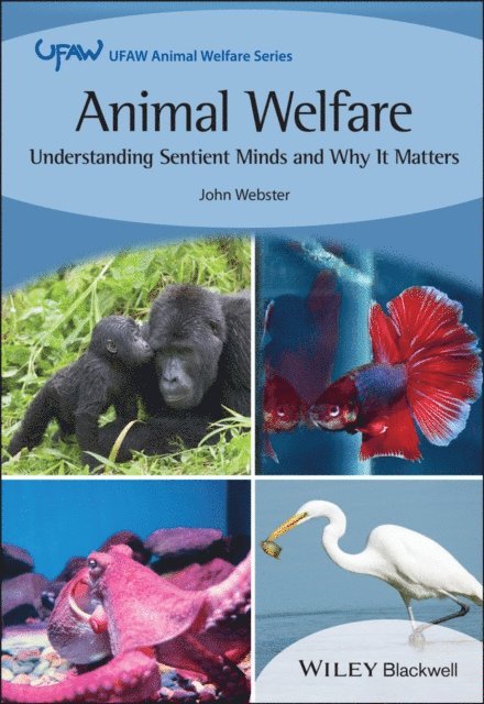 John Webster - Animal Welfare, E-bok