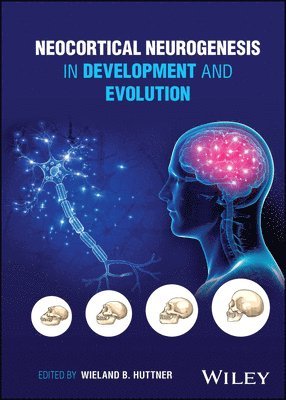 Wieland B. Huttner - Neocortical Neurogenesis in Development and Evolution, Inbunden