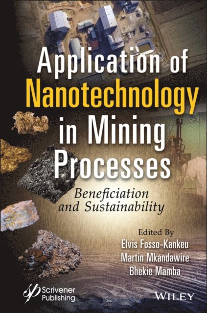 Bhekie B. Mamba, Martin Mkandawire, Elvis Fosso-Kankeu - Application of Nanotechnology in Mining Processes, E-bok