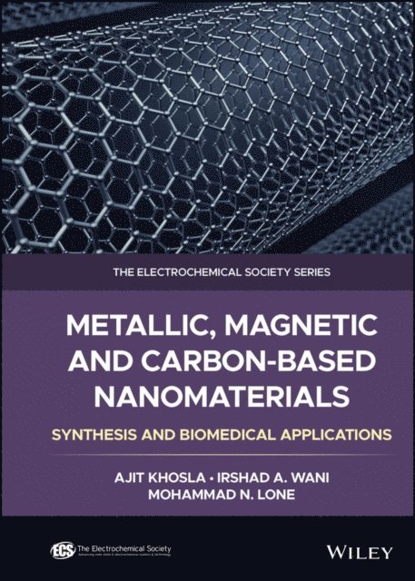 Mohammad N. Lone, Irshad A. Wani, Ajit Khosla - Metallic, Magnetic, and Carbon-Based Nanomaterials, E-bok