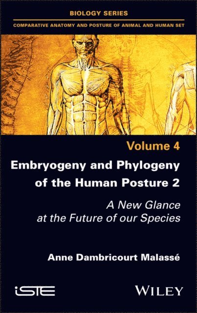 Anne Dambricourt Malasse - Embryogeny and Phylogeny of the Human Posture 2, E-bok