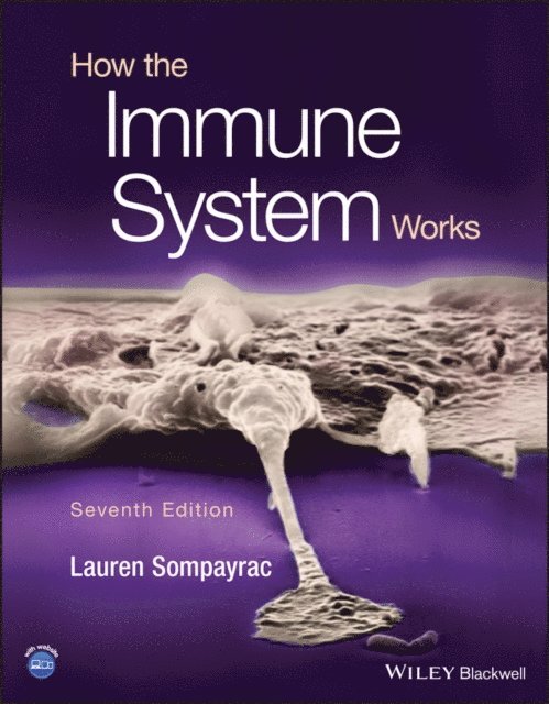 Lauren M. Sompayrac - How the Immune System Works, E-bok