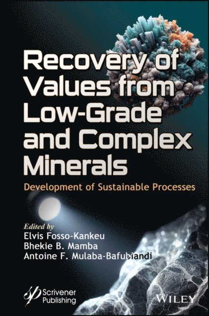 Antoine F. Mulaba-Bafubiandi, Bhekie B. Mamba, Elvis Fosso-Kankeu - Recovery of Values from Low-Grade and Complex Minerals, E-bok