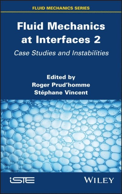 Stephane Vincent, Roger Prudhomme - Fluid Mechanics at Interfaces 2, E-bok