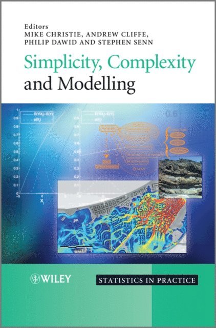 Stephen S. Senn, Philip Dawid, Andrew Cliffe, Mike Christie - Simplicity, Complexity and Modelling, E-bok