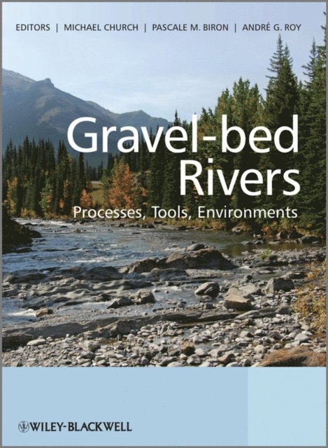 Andre Roy, Pascale Biron, Michael Church - Gravel Bed Rivers, E-bok