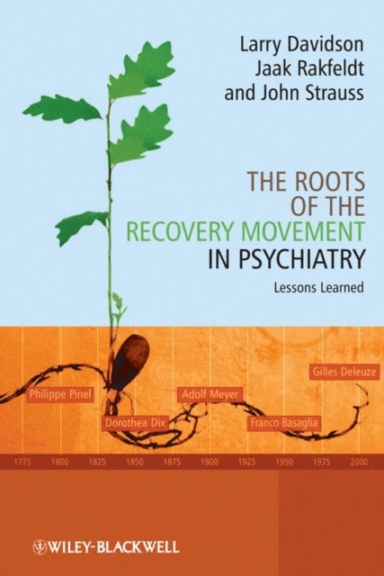 John Strauss, Jaak Rakfeldt, Larry Davidson - Roots of the Recovery Movement in Psychiatry, E-bok